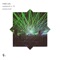 Polytunnel - MAKS (UK) lyrics