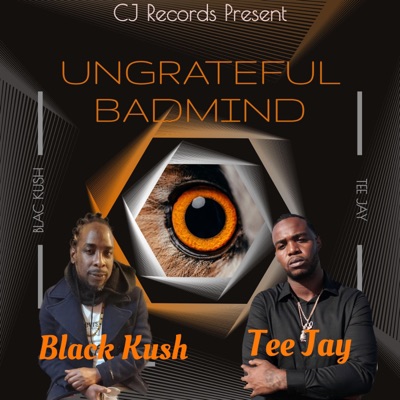 Ungrateful Badmind (feat. Tee Jay) - Single