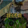 Nigerian Eagle (feat. Tweezy) - Single