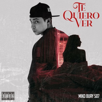 Te Quiero Ver - Single