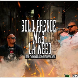 Solo prende mas la Weed (feat. RecKillAgs)