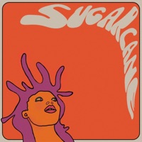 Sugarcane - Single - Amaroun