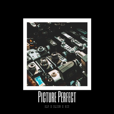 Picture Perfect (feat. SLP) - Single