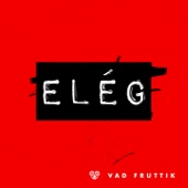 Elég artwork