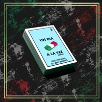 Un día a la vez (Remix) (feat. Adiv Salinas) - Single - Lexly Nirvana