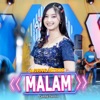 Malam (feat. Cantika Davinca) - Single