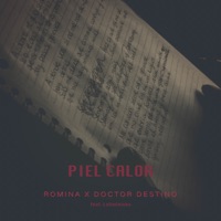 Piel Calor (feat. Latin Geisha) - Single - Doctor Destino & Romina