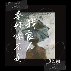 幸好你不是我良人 - Single