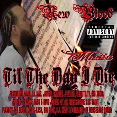 Music:Til the Day I Die
