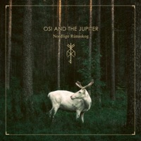 Album cover for Nordlige Rúnaskog (Deluxe Version) by Osi And The Jupiter