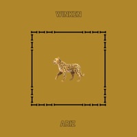 winken - Single - Ariz