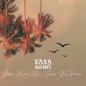 Nana (feat. Joeboy, King Promise & Bien) [Remix]