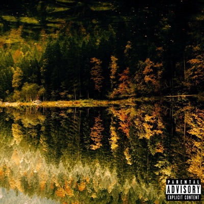 Failed to Connect (feat. FAD & Lo-Key) - Single