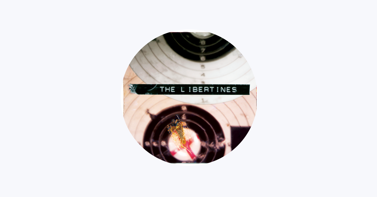 The Bertins: albums, songs, playlists