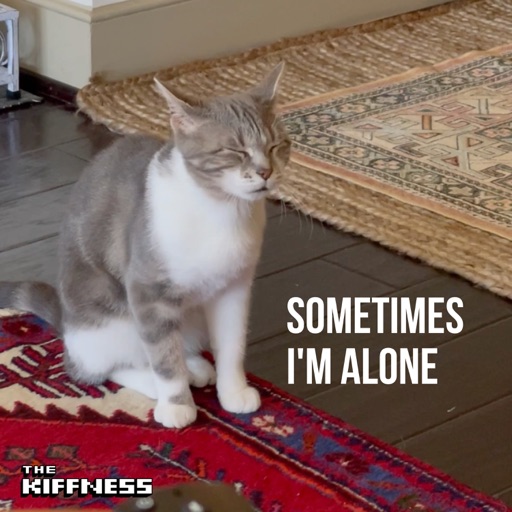 Sometimes I'm Alone (Lonely Cat) by The Kiffness