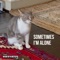 Sometimes I'm Alone (Lonely Cat) - The Kiffness lyrics