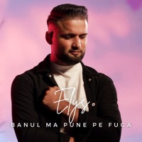 Banul ma pune pe fuga - Single - Elys