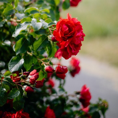 Nils Weerden - Honey It's Sunny