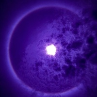 What You Came For - Single - Marcelo Berges