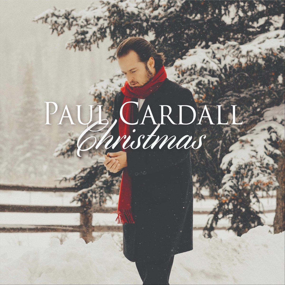 ‎Christmas Album by Paul Cardall Apple Music