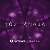 Tűz Lángja (feat. faera) [remix] artwork