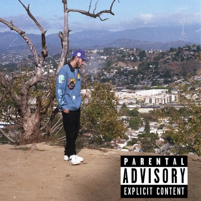 Always Been Focused, Vol. 1