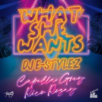 What She Wants (feat. Capella Grey & Rico Rozay) - Single - DJ E-STYLEZ
