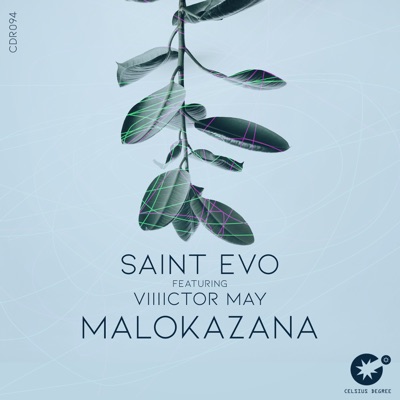 Malokazana - Single