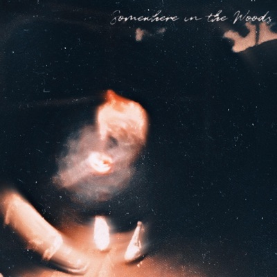 Somewhere in the Woods