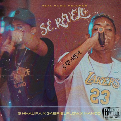 Se Revelo - Single