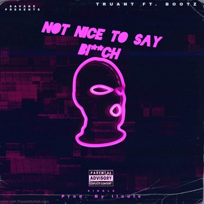 Not Nice To Say Bitch - Single