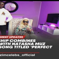 Perfect Ghost (feat. Natasha Muz) - Single - Mr Gunship