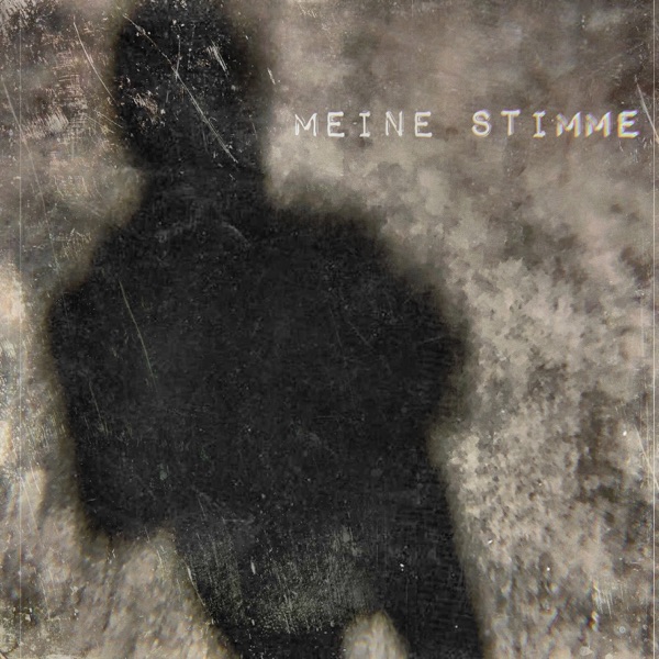 Meine Stimme (feat. Florian Nienerza) - EP