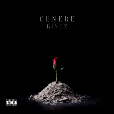 Cenere - Single