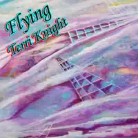 Flying — Terri Knight