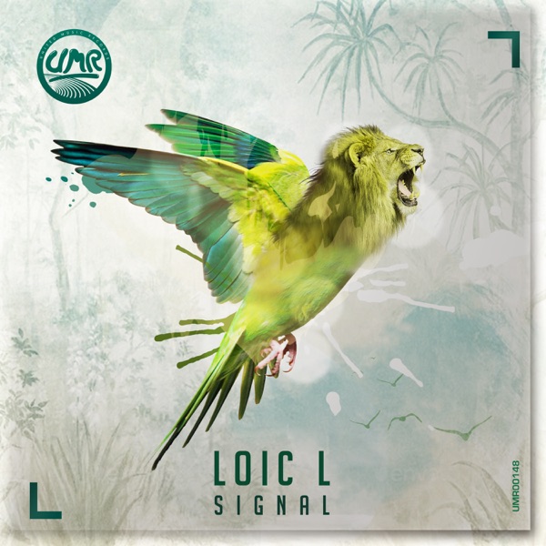 Signal - Single