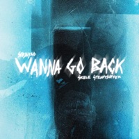 Wanna Go Back (feat. Lil Skele & Steadysuffer) - Single - Seejayxo