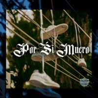 Por si muero (feat. Ese risas lokote & Slaker cortez) - Single - Aka memin vst