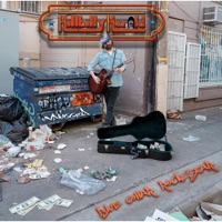 Hillbilly Herald - Wicked City