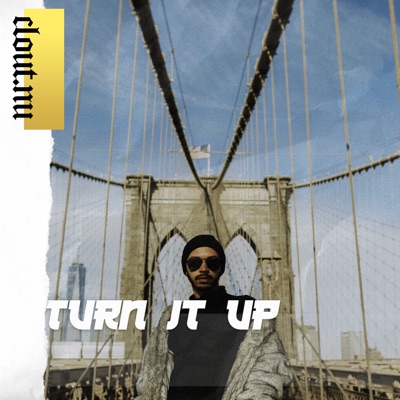 Turn It Up - Single