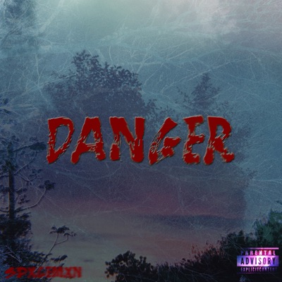 Danger - Single