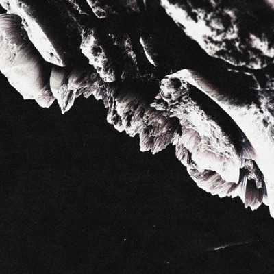 Bloodshed - Single