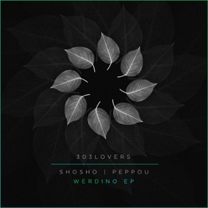 Werdino - Single