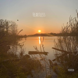 Heartless (feat. DDOSS) Kako