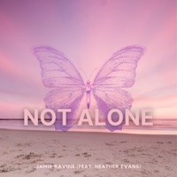 Not Alone (feat. Heather Evans) - Single - Jamie Sagle
