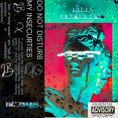 Do Not Disturb My Insecurities