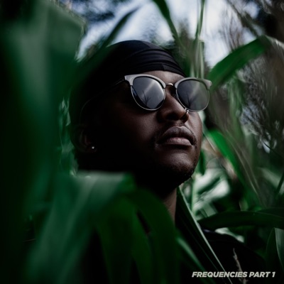 Frequencies:, Pt. 1 - EP