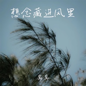 想念藏进风里 - Single