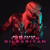 Teriyan Dilbariyan - Single