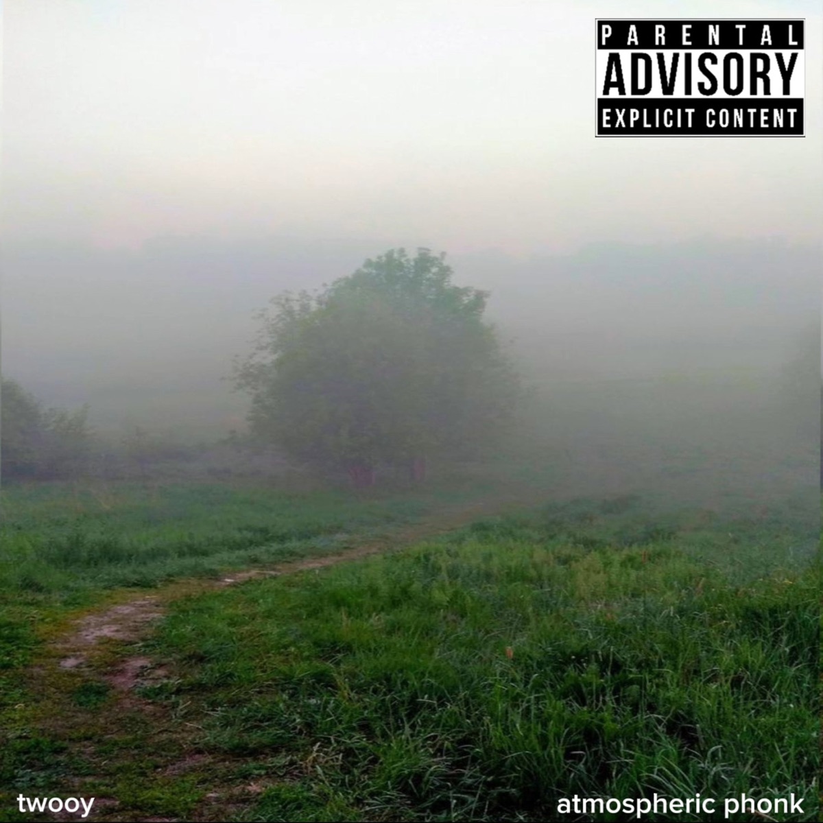 Phonk Mix - EP - Album by BAYTVN - Apple Music